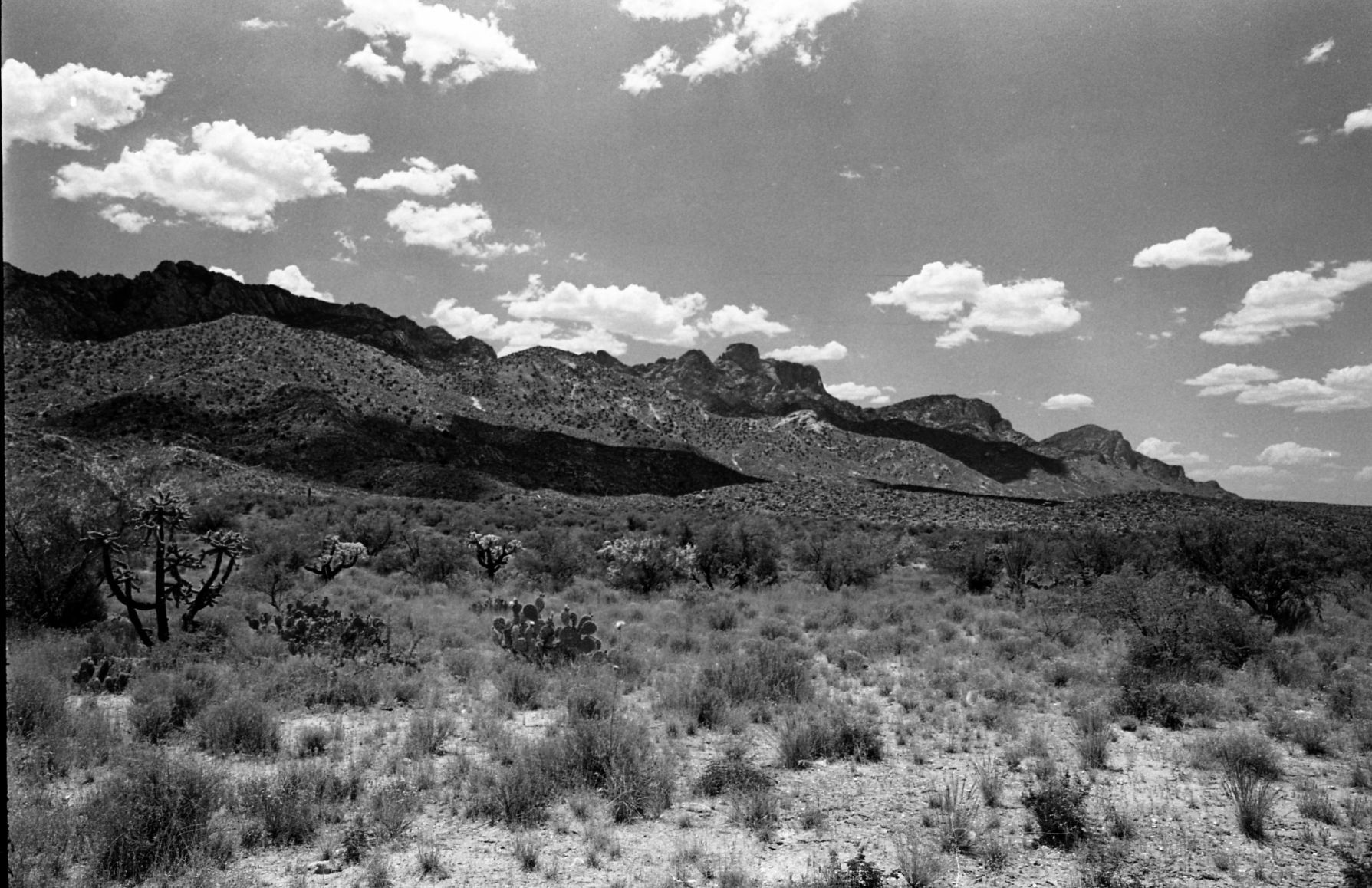 Rancho Romero (Catalina State Park)